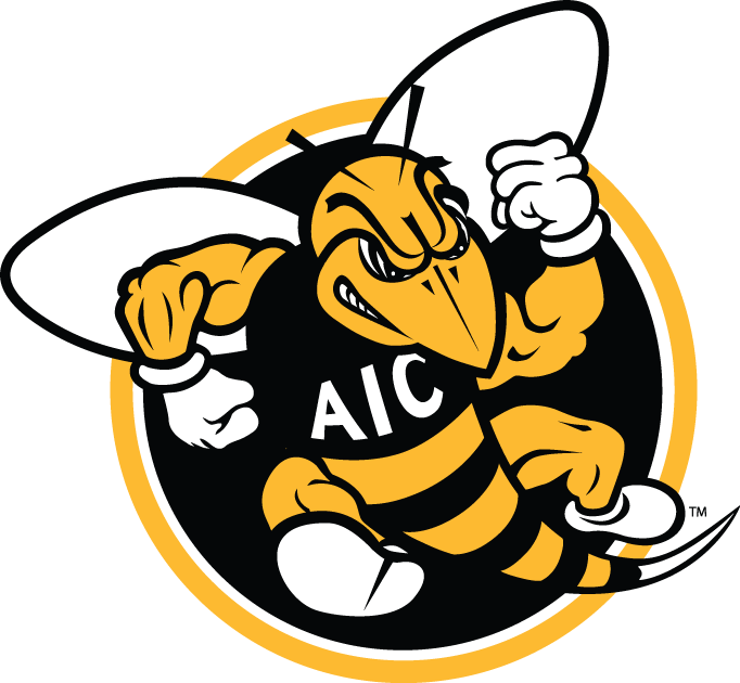 AIC Yellow Jackets 2009-Pres Alternate Logo diy fabric transfer